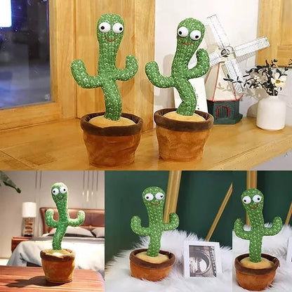 Cactus Bailarín imita voz musical